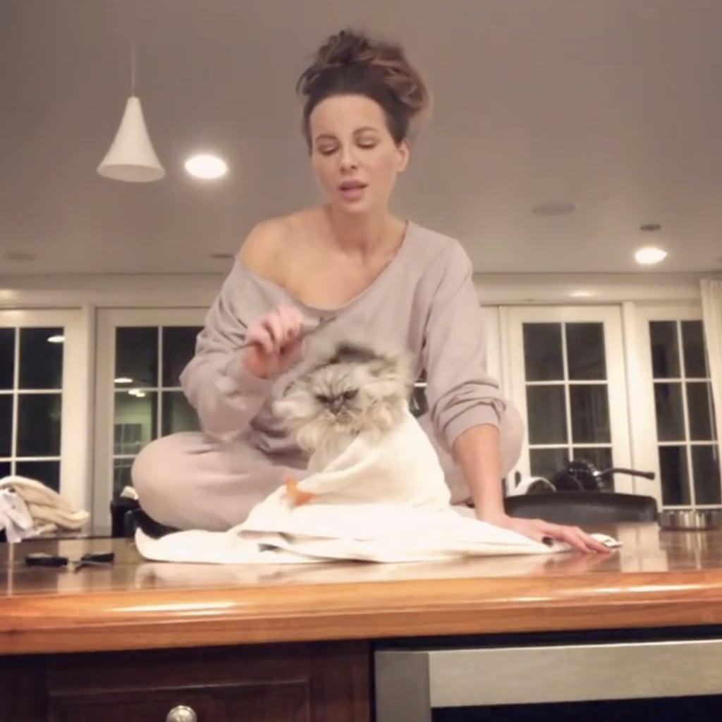 Kate Beckinsale Spreads Legs With A Cat Down Her Shirt The Blast