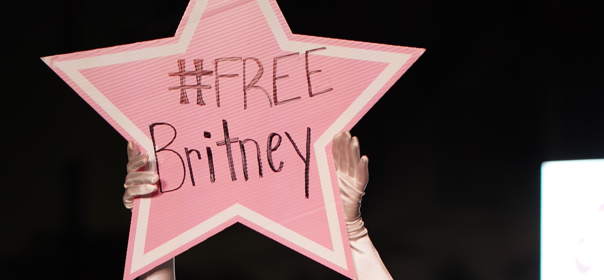 'Swimissue' Model Stuns Swim Week With 'FreeBritney' Runway Sign