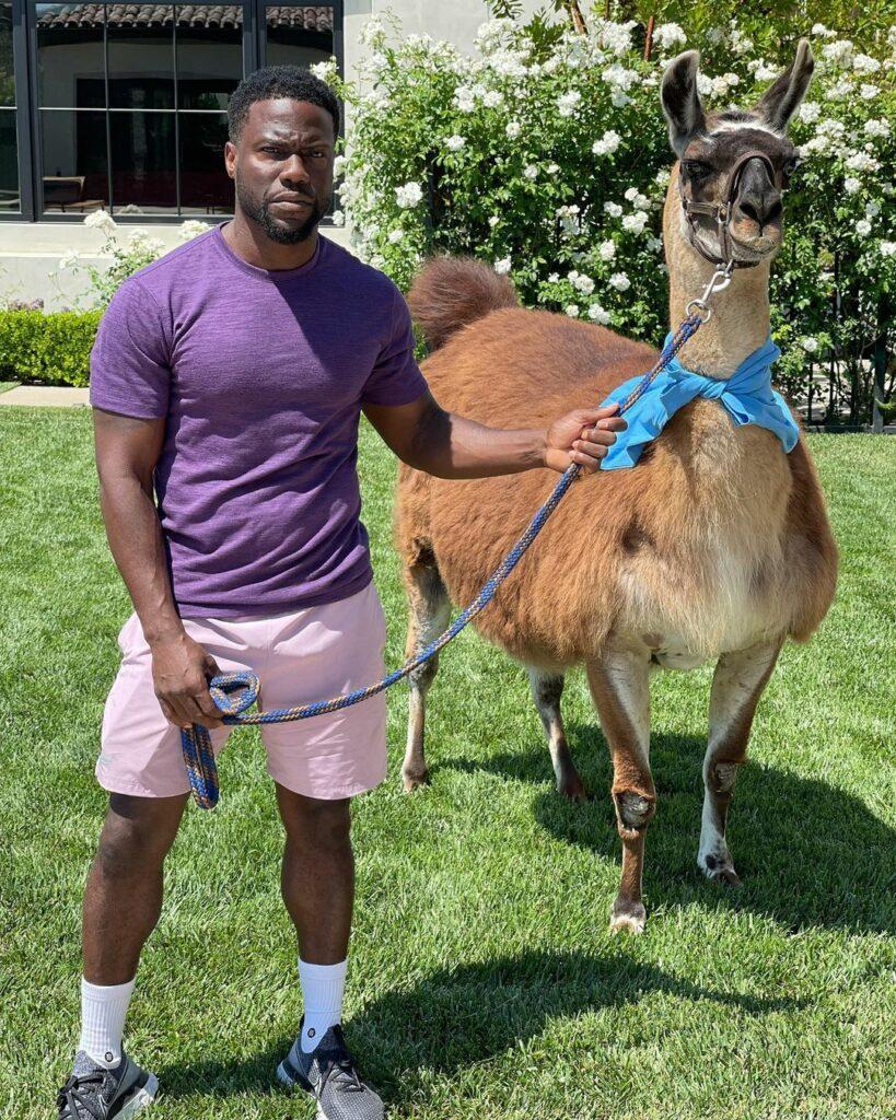 Kevin Hart and a lama.