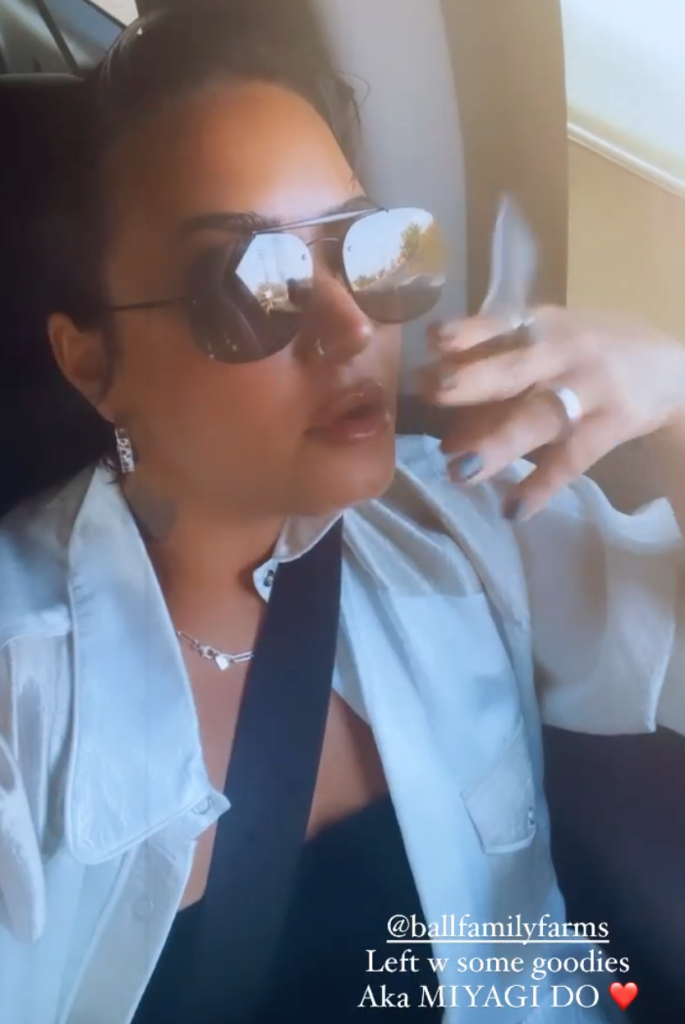 Demi Lovato Shares Video Smoking Weed, 'I'm California Sober!'