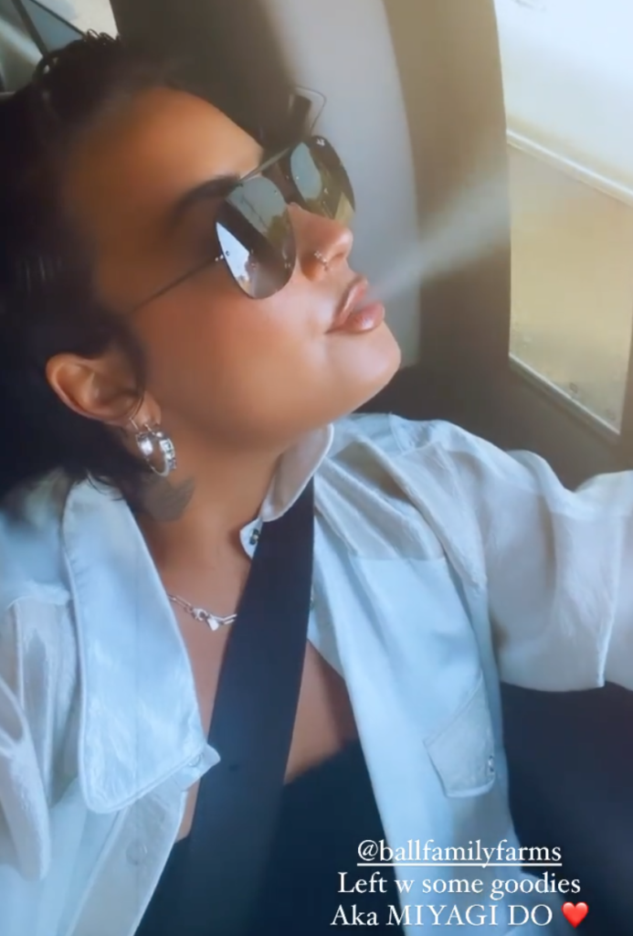 Demi Lovato Shares Video Smoking Weed, 'I'm California Sober!'