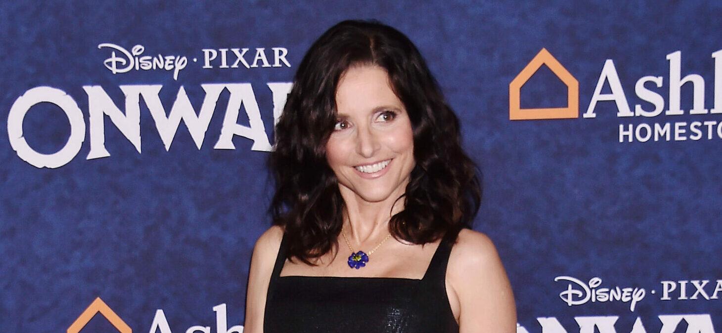 Julia Louis-Dreyfus Holds The Most Emmys in the Award’s History