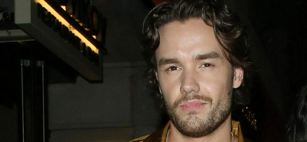 Liam Payne amp Maya Henry Engaged