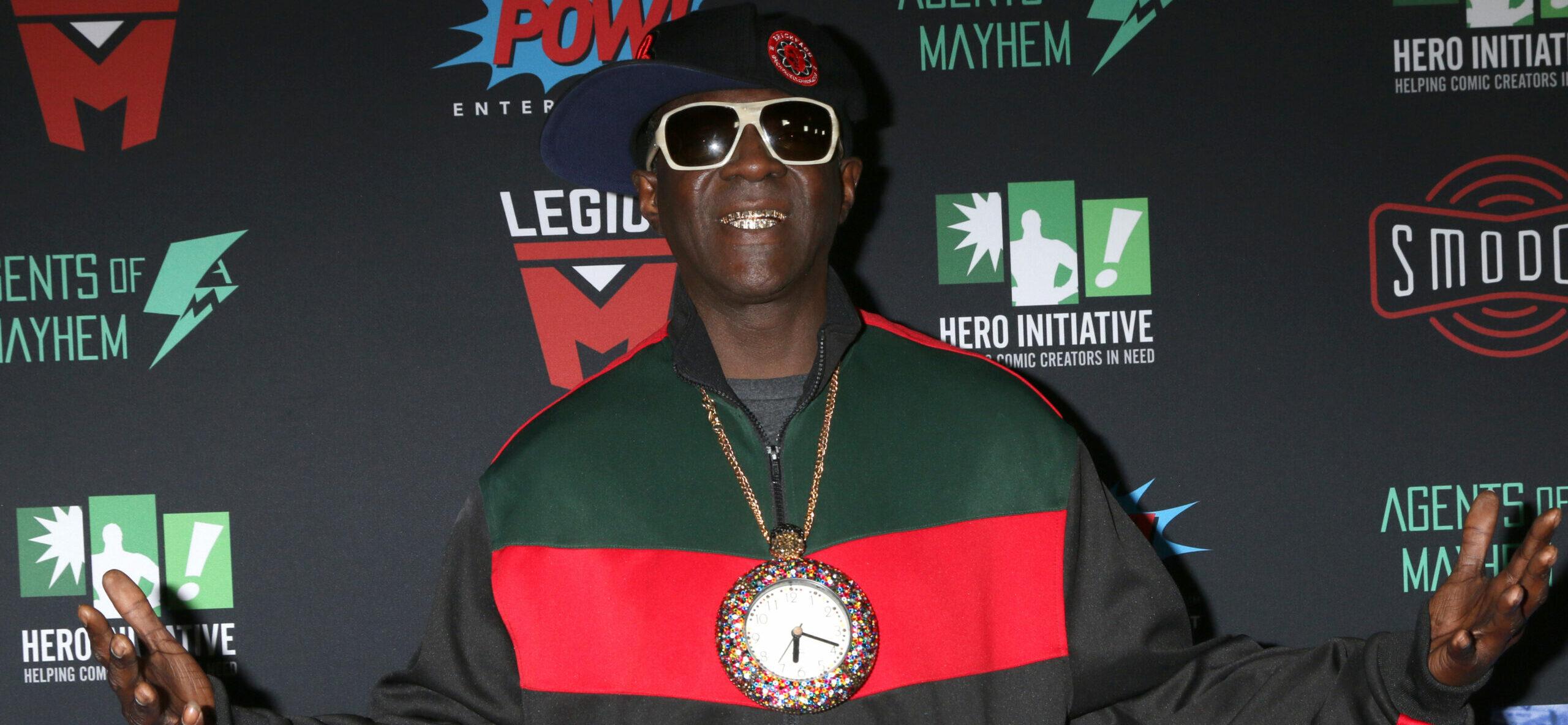 Flavor Flav Busted For Domestic Violence — See The Crazy Mugshot!