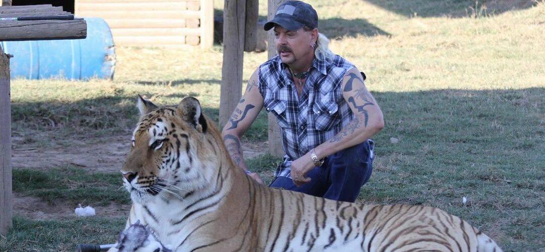 ‘Tiger King’ Star Joe Exotic Begs Cardi B For Help With His Prison Release!