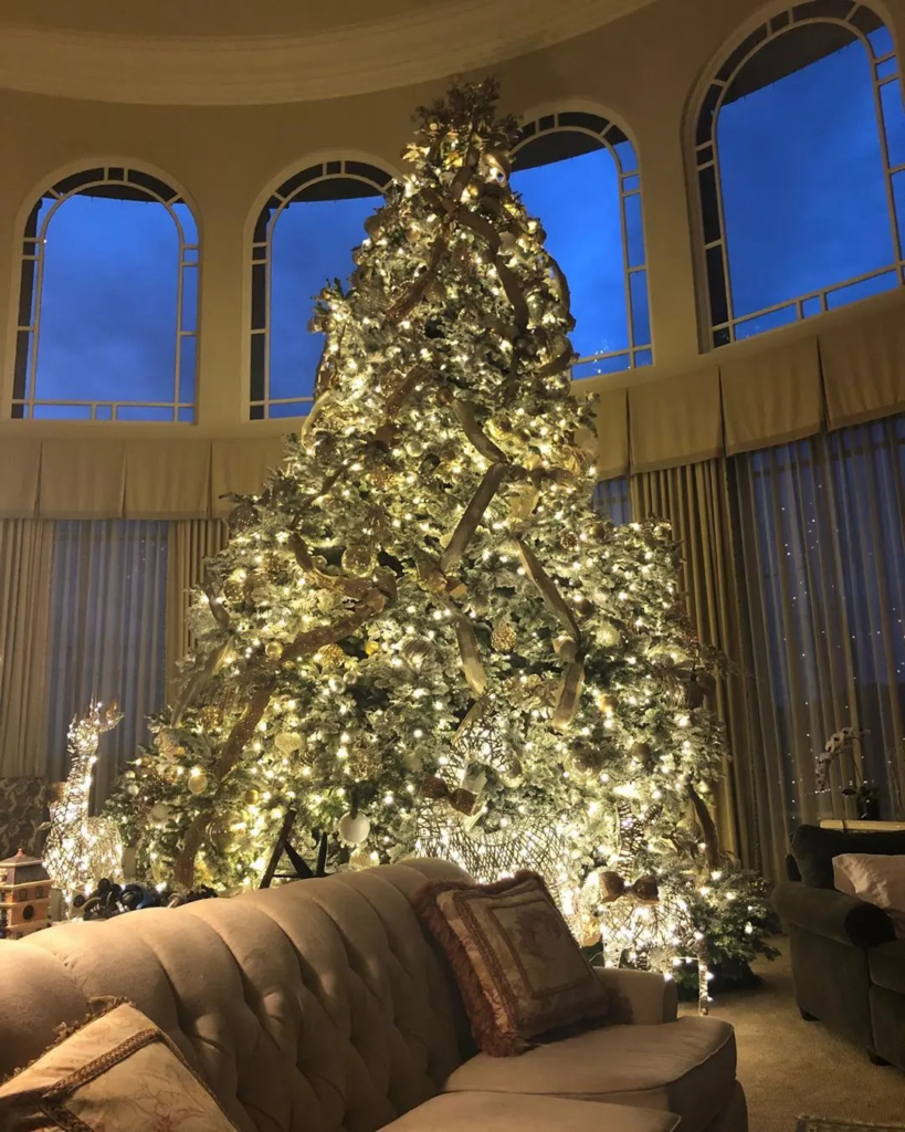 Britney Spears' Fiancé Reveals Her EXPENSIVE Christmas Decorations