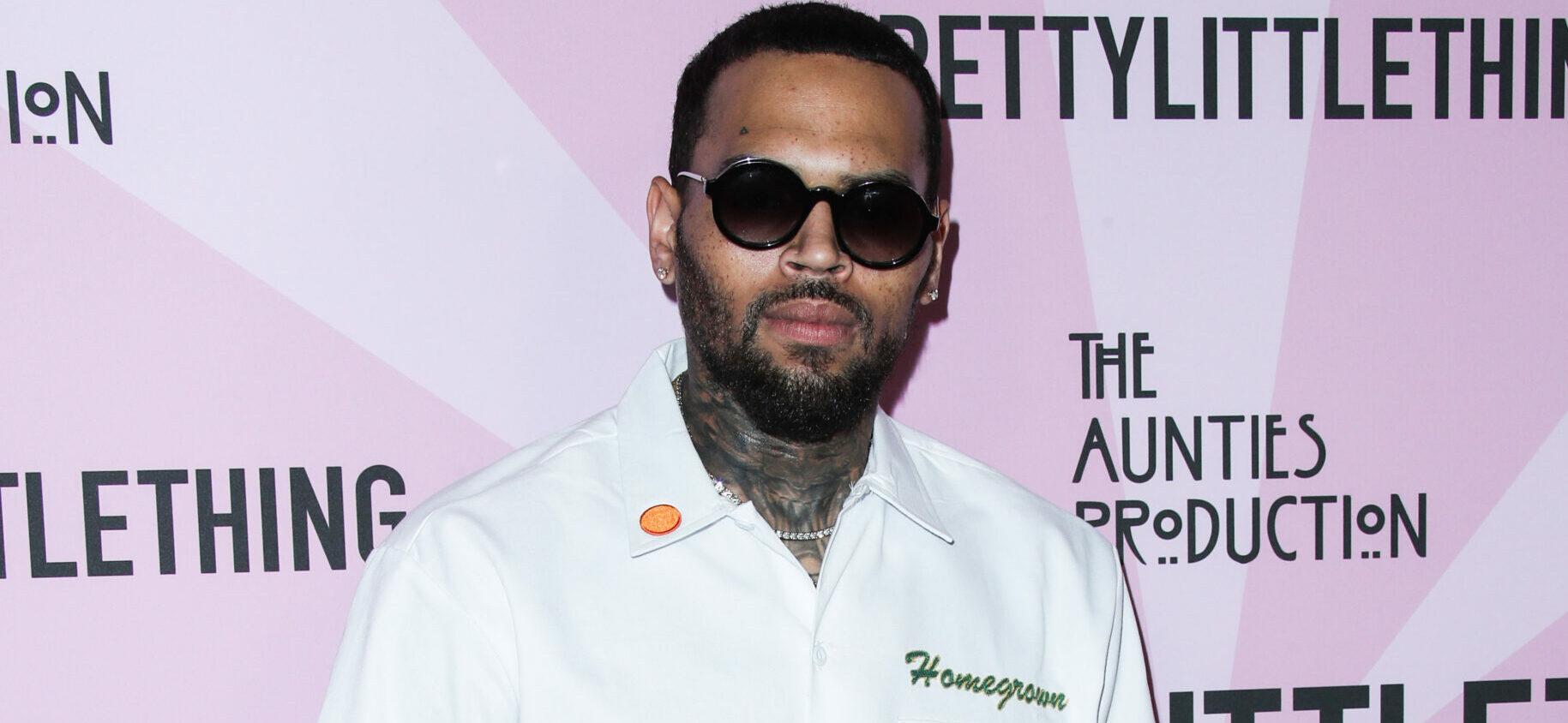 Chris Brown Dotes On Gorgeous Daughter And ‘Heartbreaker’ Son Ahead Of Holidays