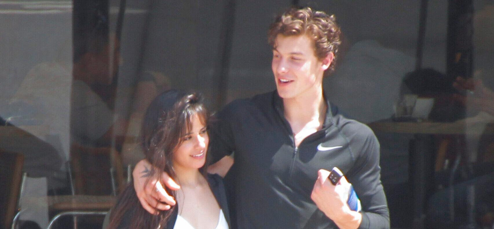 Shawn Mendes Asks ‘Are We Gonna Make It’ After Breakup From Camila Cabello