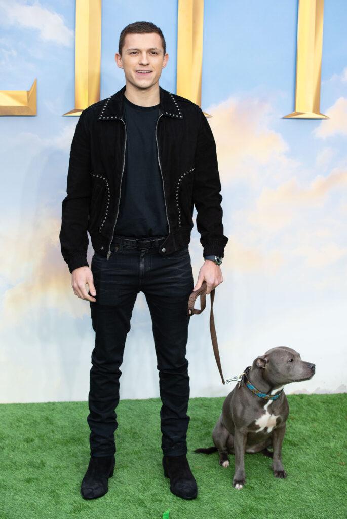 The Super Cool Trick Tom Holland Uses To Look Taller(02)