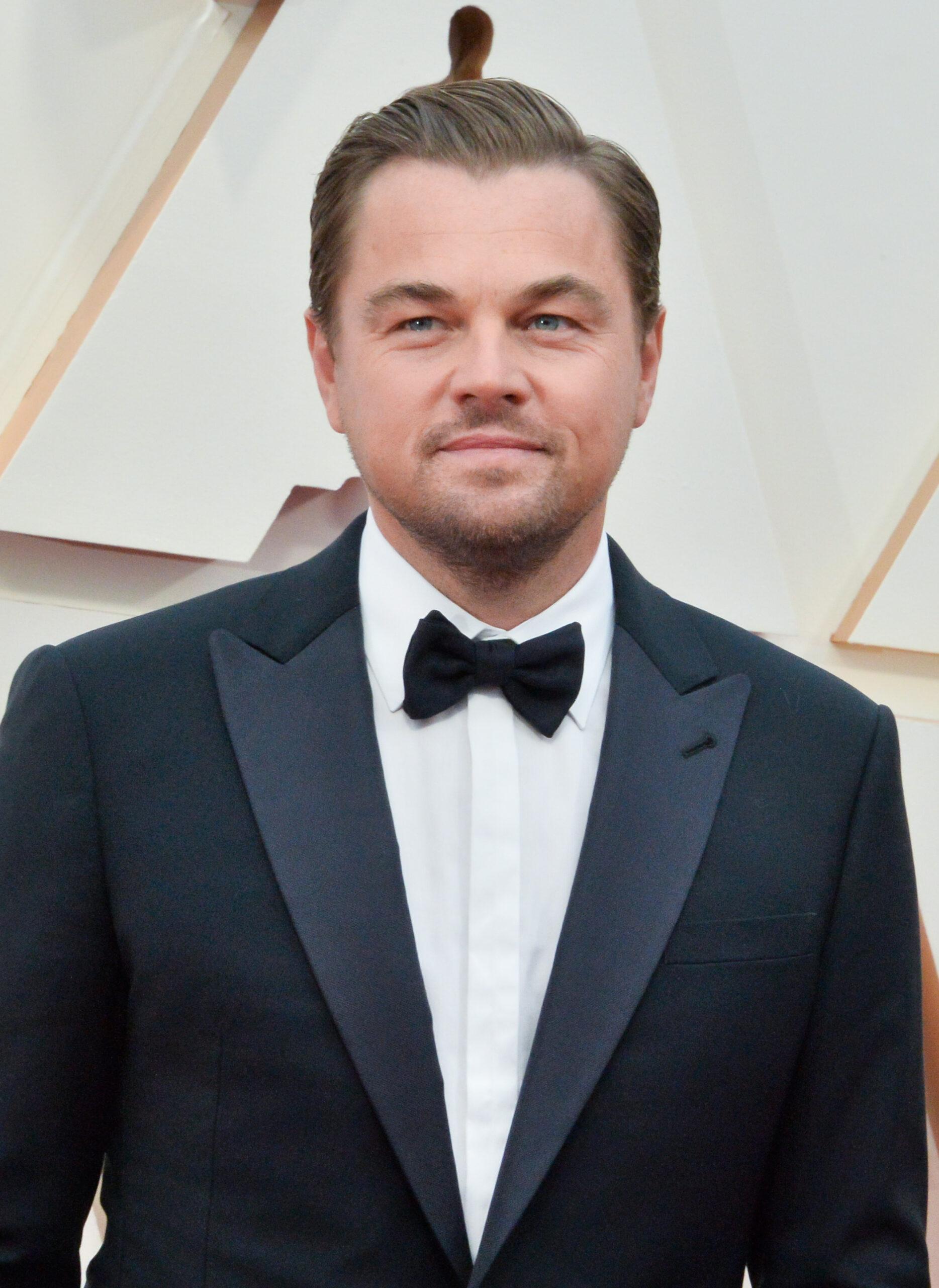 Leonardo DiCaprio at the 92nd annual Academy Awards