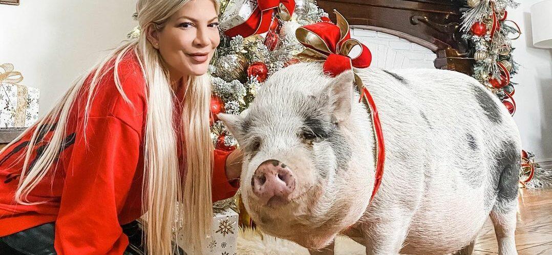 Tori Spelling Wishes Giant Pig Happy Birthday In Christmas Snap
