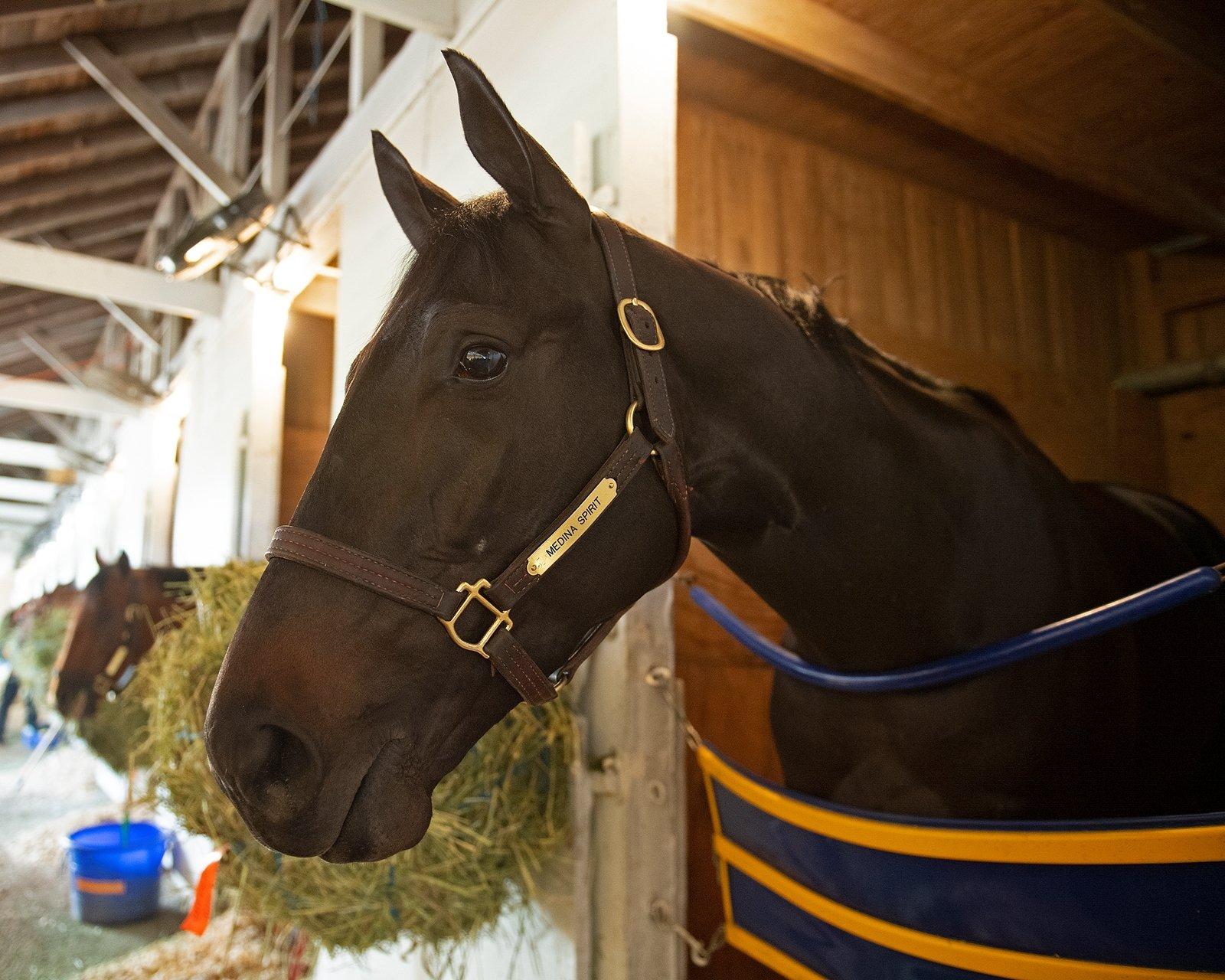 Kentucky Derby Winning Horse Dies Sparking Steroid Rumors