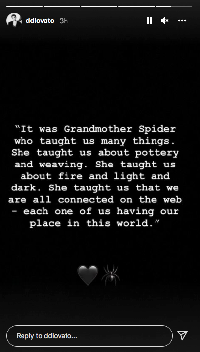 Demi Lovato's post on her Instagram story