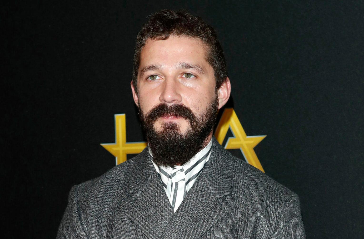 LOS ANGELES - NOV 3: Shia LaBeouf at the Hollywood Film Awards