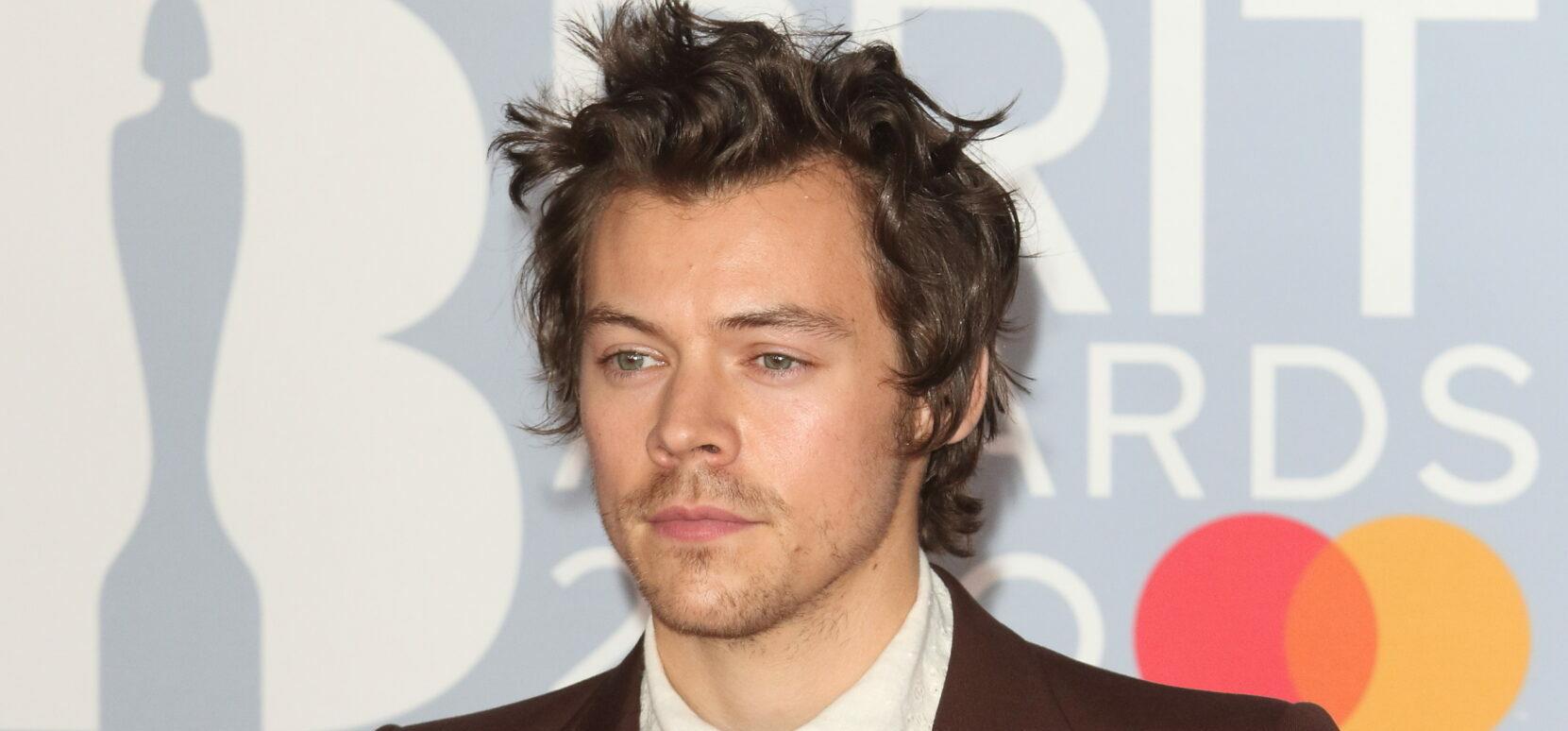 Harry Styles Spotted Sharing An Intimate Hug With A Brunette Lady Amid Split From Olivia Wilde