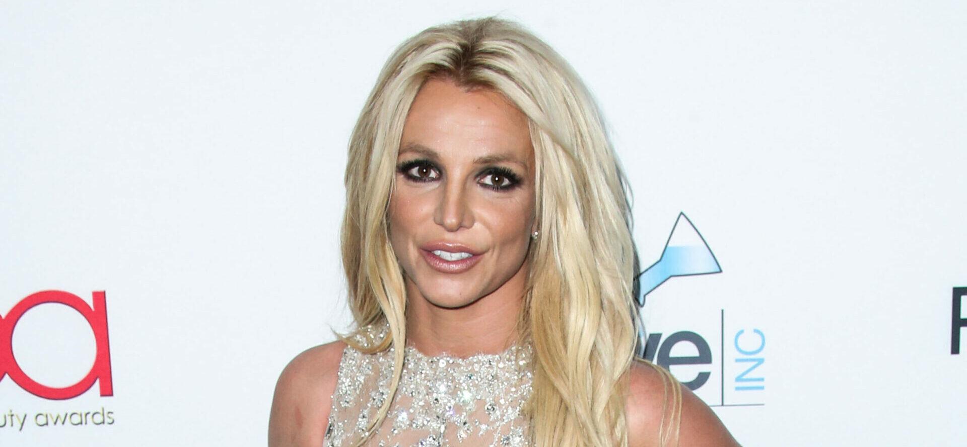 Britney Spears Fans Stand With Pop Star After Alleged Security Slap