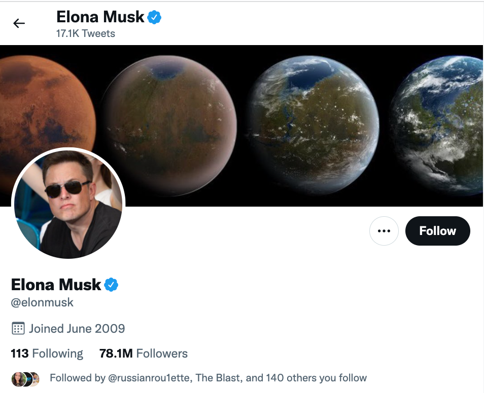 Elon Musk changes Twitter name to Elona Musk