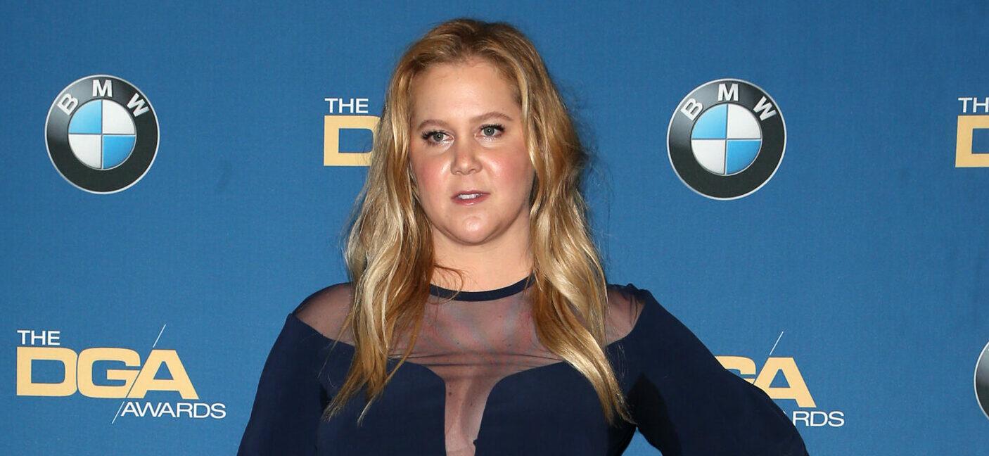 Amy Schumer Wanted Zelensky To Appear In A Telecast At The Oscars