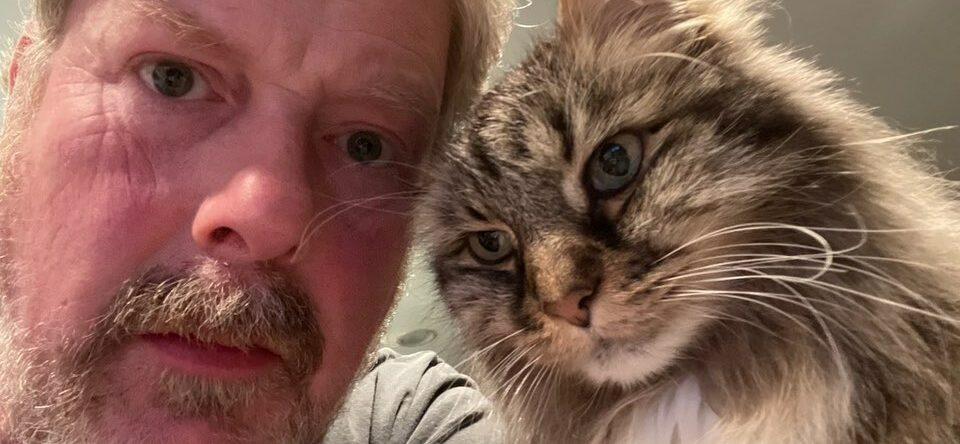 Mark Hamill Offers Condolences For John DiMaggio’s Beloved Cat