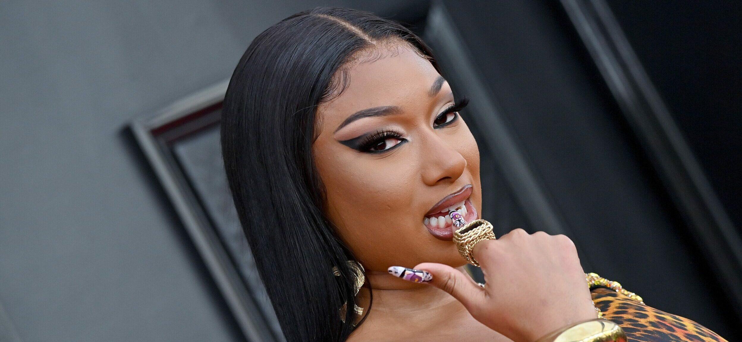 Megan Thee Stallion Puts Busty Chest On Display In Plunging Dress