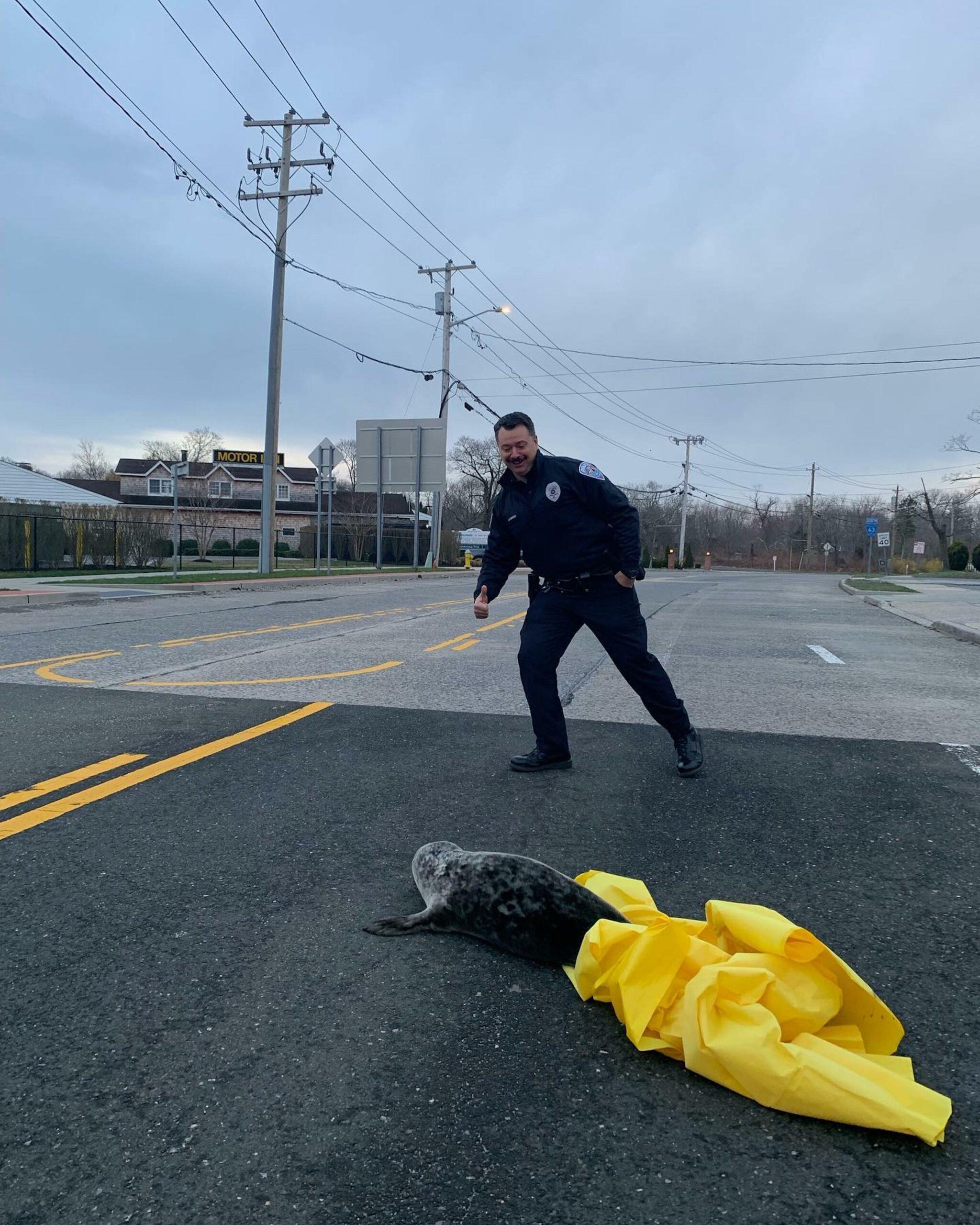 Slippery seal captured by US cops