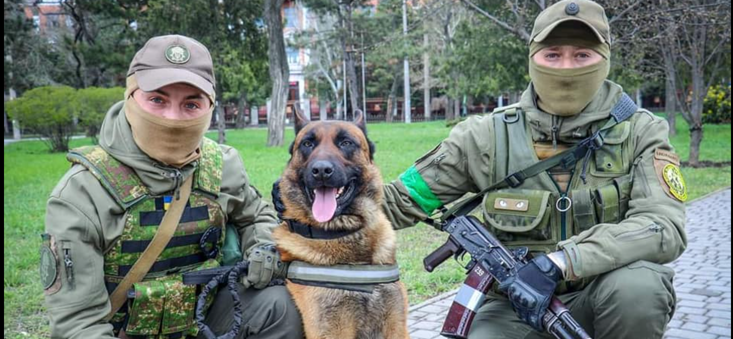 Abandoned Russian War Dog Gets New Home Thanks To Ukrainian Soldiers!