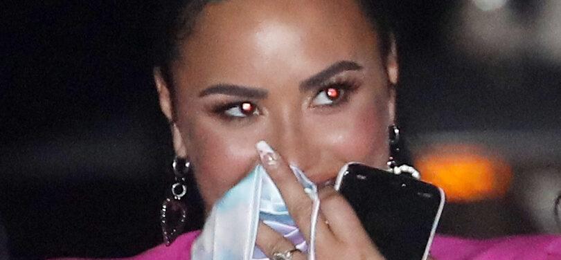 Demi Lovato Has A New Love In Her Life Nearly Two Years After Broken Engagement!