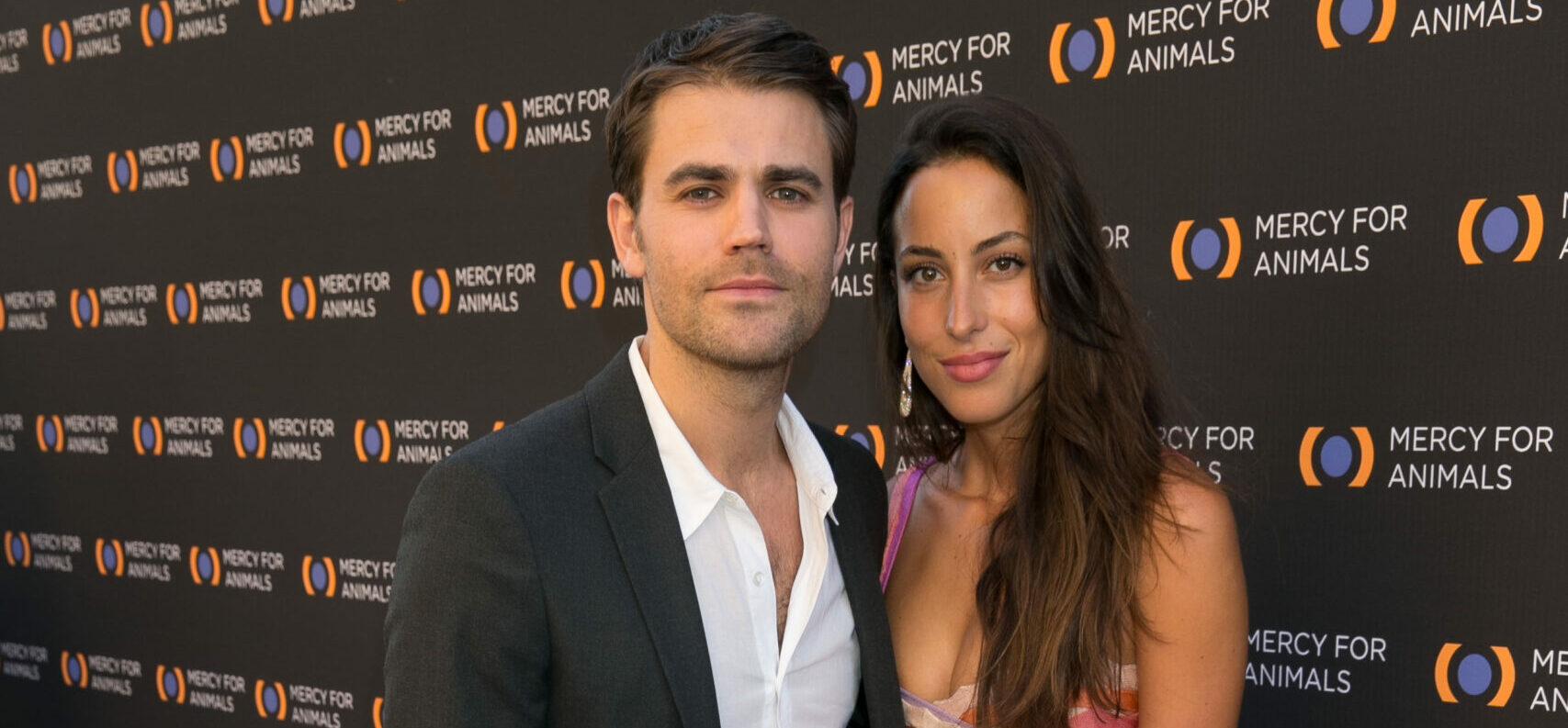 ‘TVD’ Star Paul Wesley Files For Divorce From Brad Pitt’s New GF