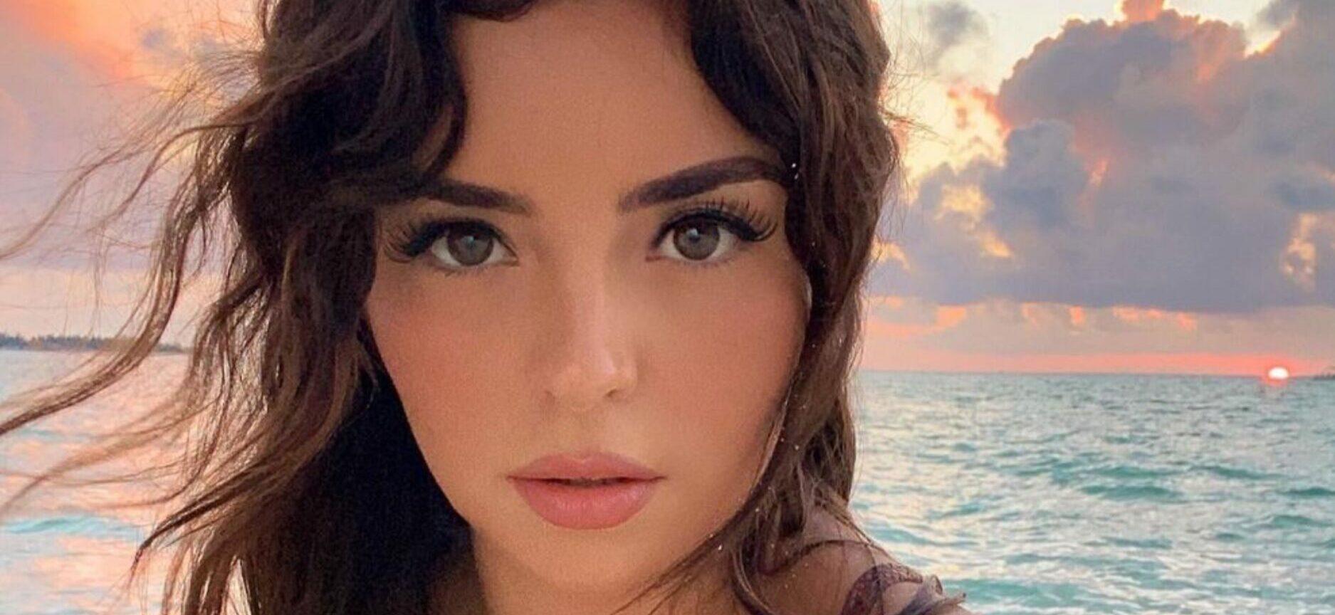 Demi Rose Pushes Instagram Boundaries With Her See-Through Dress