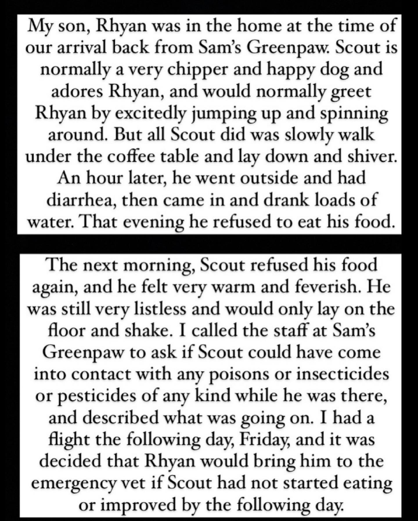 Donna D'Errico's dog Scout health scare page 3