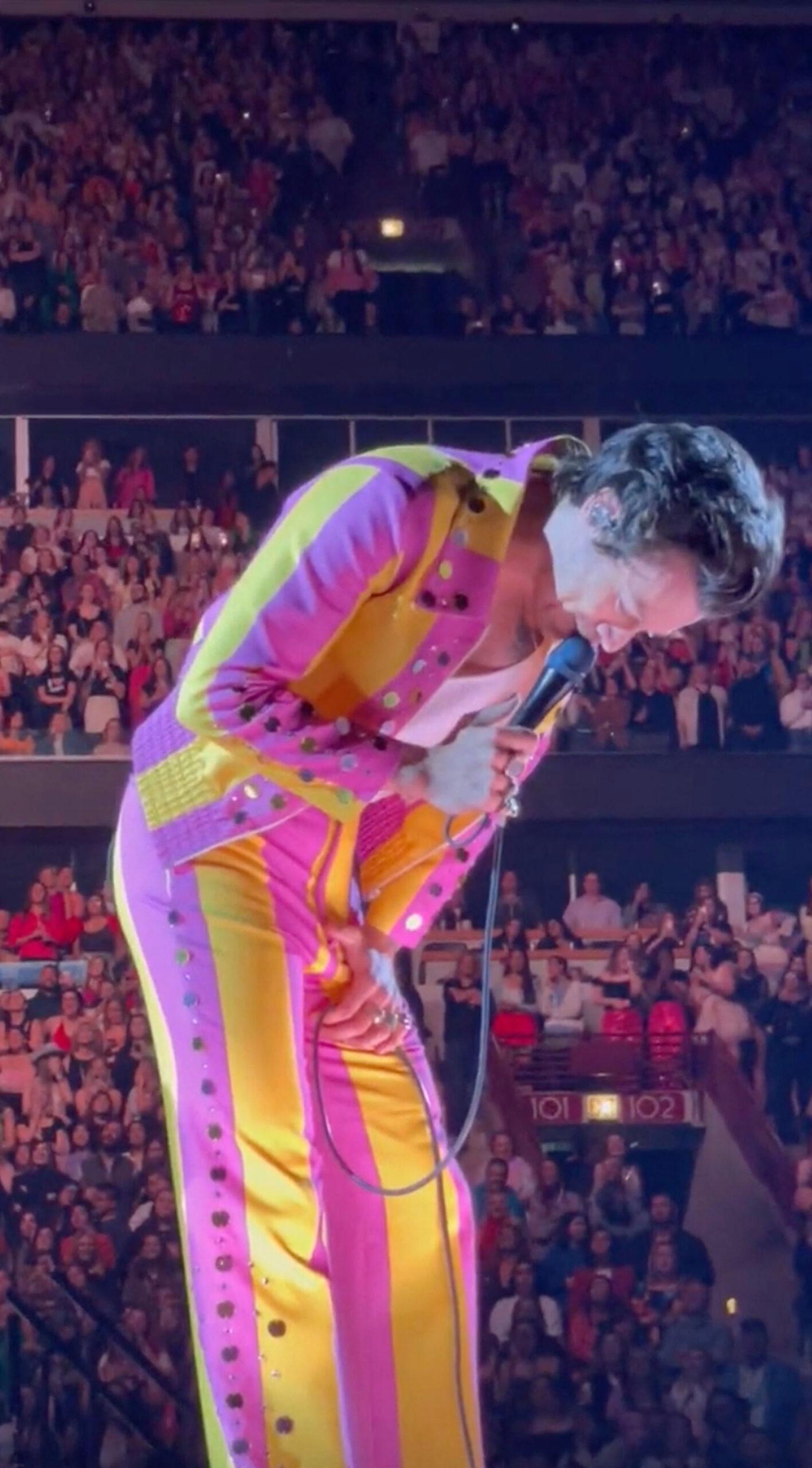 This is the eye-watering moment Harry Styles got hit where it hurts by an object thrown on stage by an over-enthusiastic fan. 