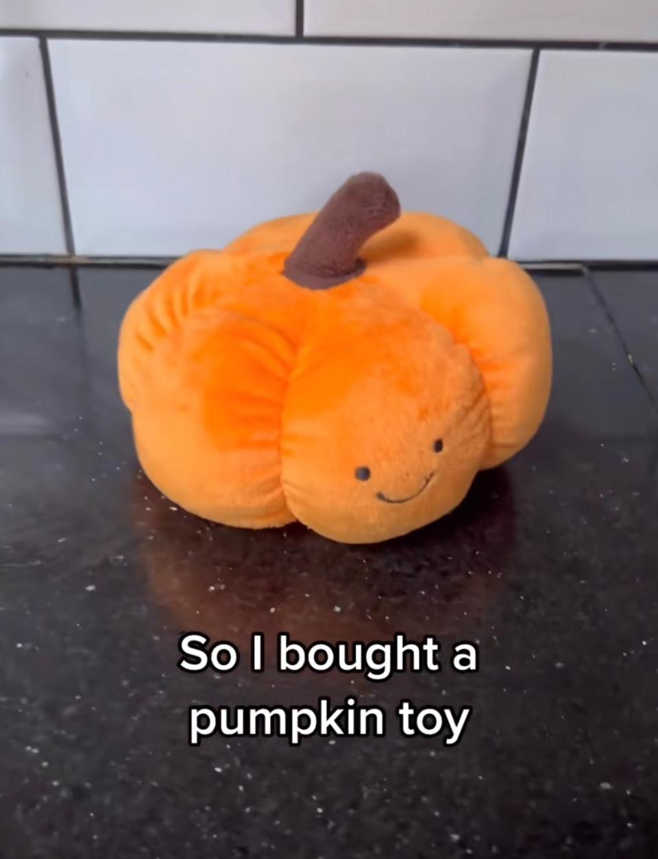 Good Boy Ollie TikTok pumpkin