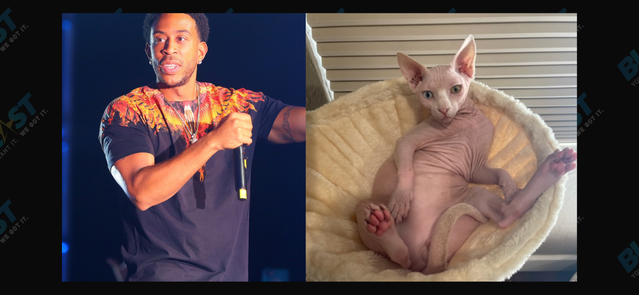 Ludacris and Nudacris