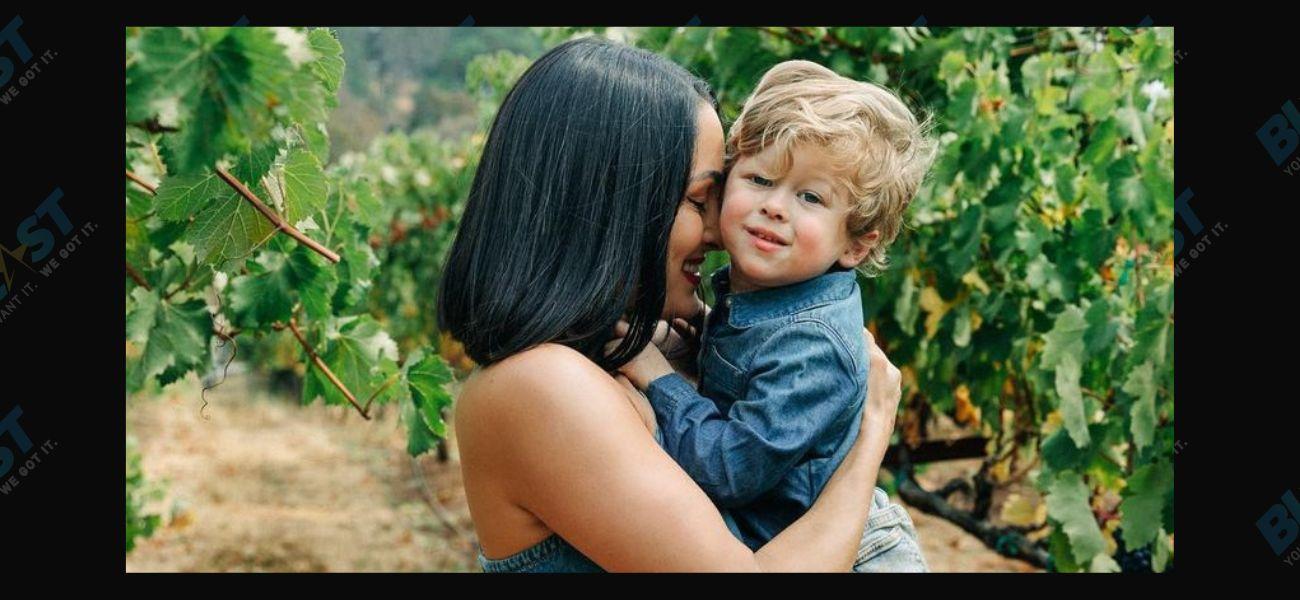 Nikki Bella & Son Matteo Wish Artem Chigvintsev Happy Birthday In