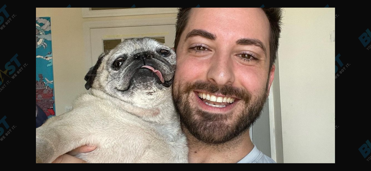 Jonathan Graziano Is Taking It ‘One Day At A Time’ After Noodle The Pug’s Passing