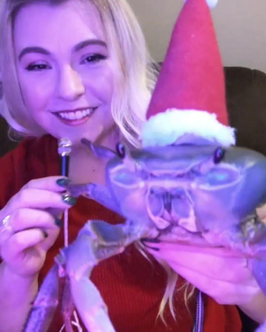 Howie The Crab's Mom Answers Fans Questions On TikTok Live
