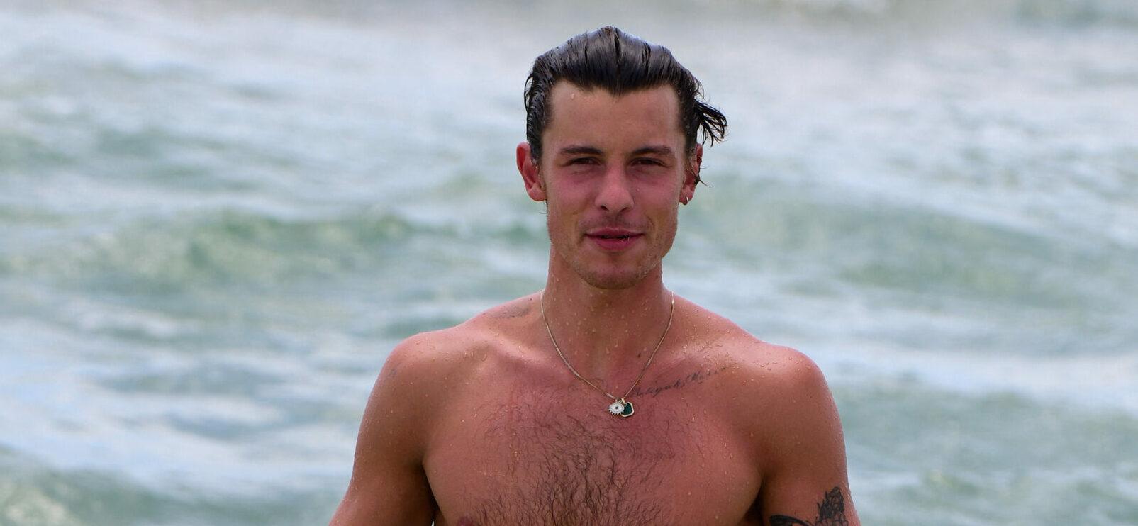 Shawn Mendes MELTS Instagram With An Icy Christmas Dip In Black Trunks