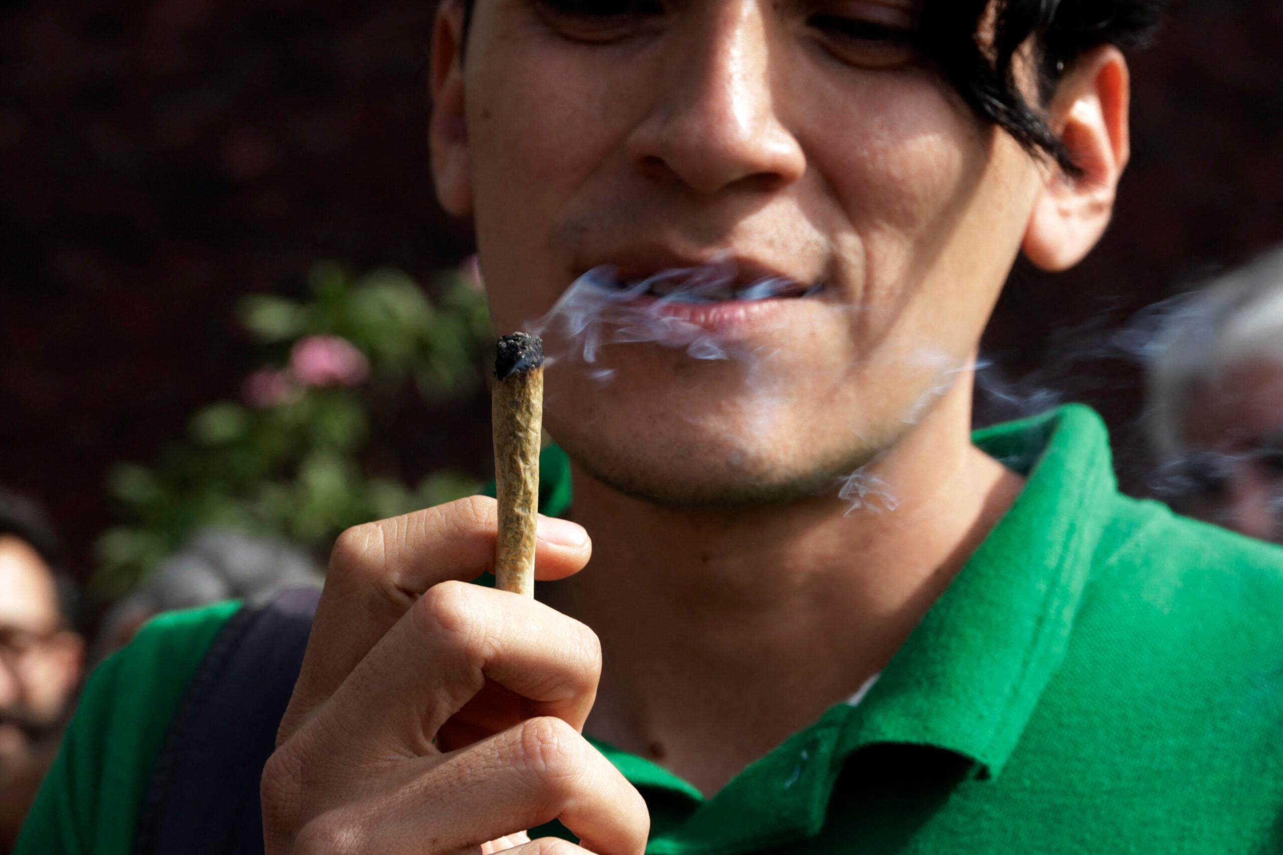 Celebration Of The 530 Years Of Cannabis in Mexico