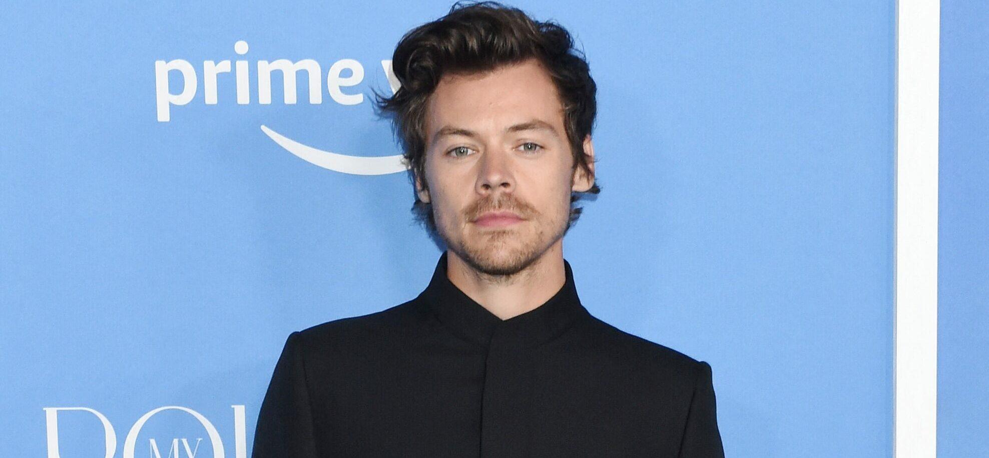 The REAL Reason Why Harry Styles Rejected A Role In ‘The Little Mermaid’