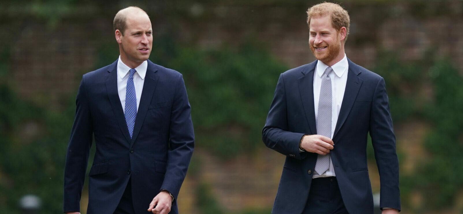 Prince Harry Was Allegedly Left ‘In Tears’ After Military Role Was Given To Prince William