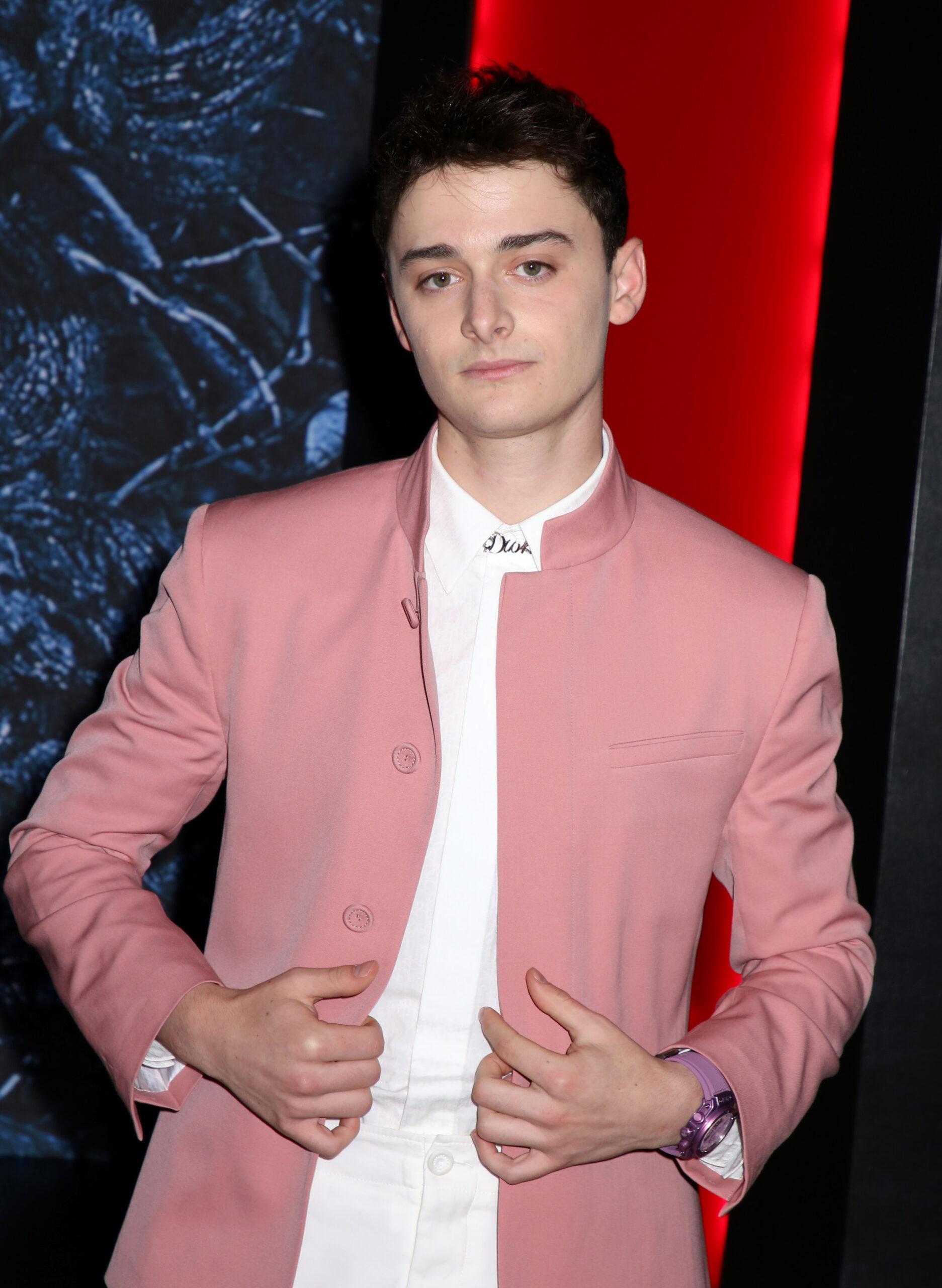 Noah Schnapp Under Fire For 'Liking' Video Mocking Pro-Palestine Supporters