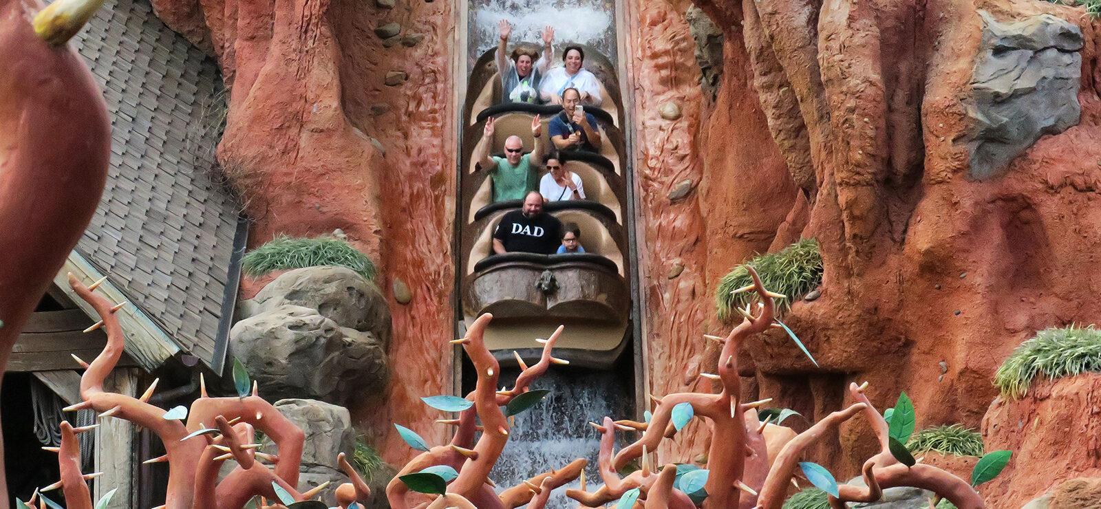 Water From Splash Mountain Listed For $100s After Permanent Closure