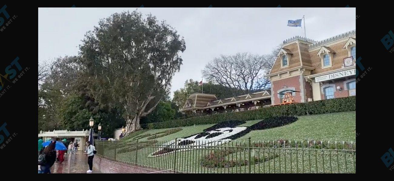 Guests At Disneyland Shocked As They Experience Real Snowfall
