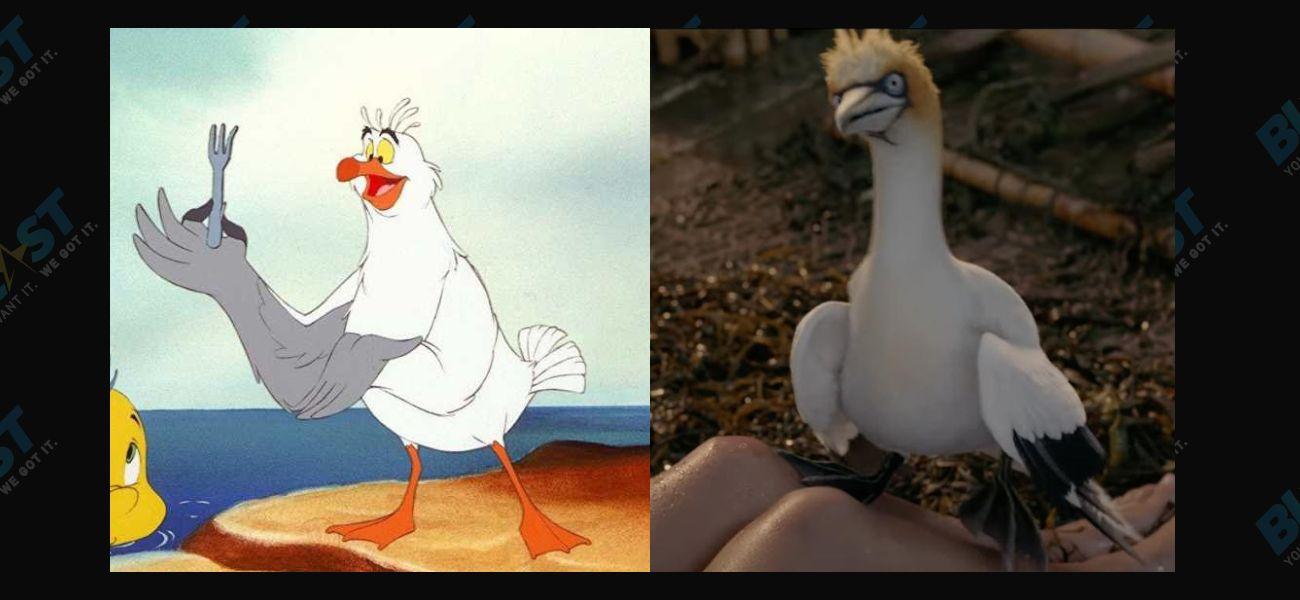 Disney Fans Appalled Over Scuttle In Live-Action ‘The Little Mermaid’