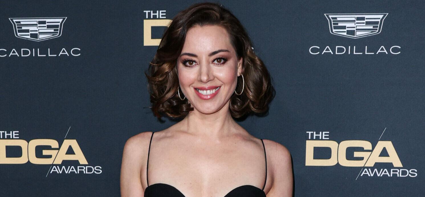 Aubrey Plaza's stylist says they 'wanted underboob' amid criticism of the  'White Lotus' star's daring SAG Awards dress