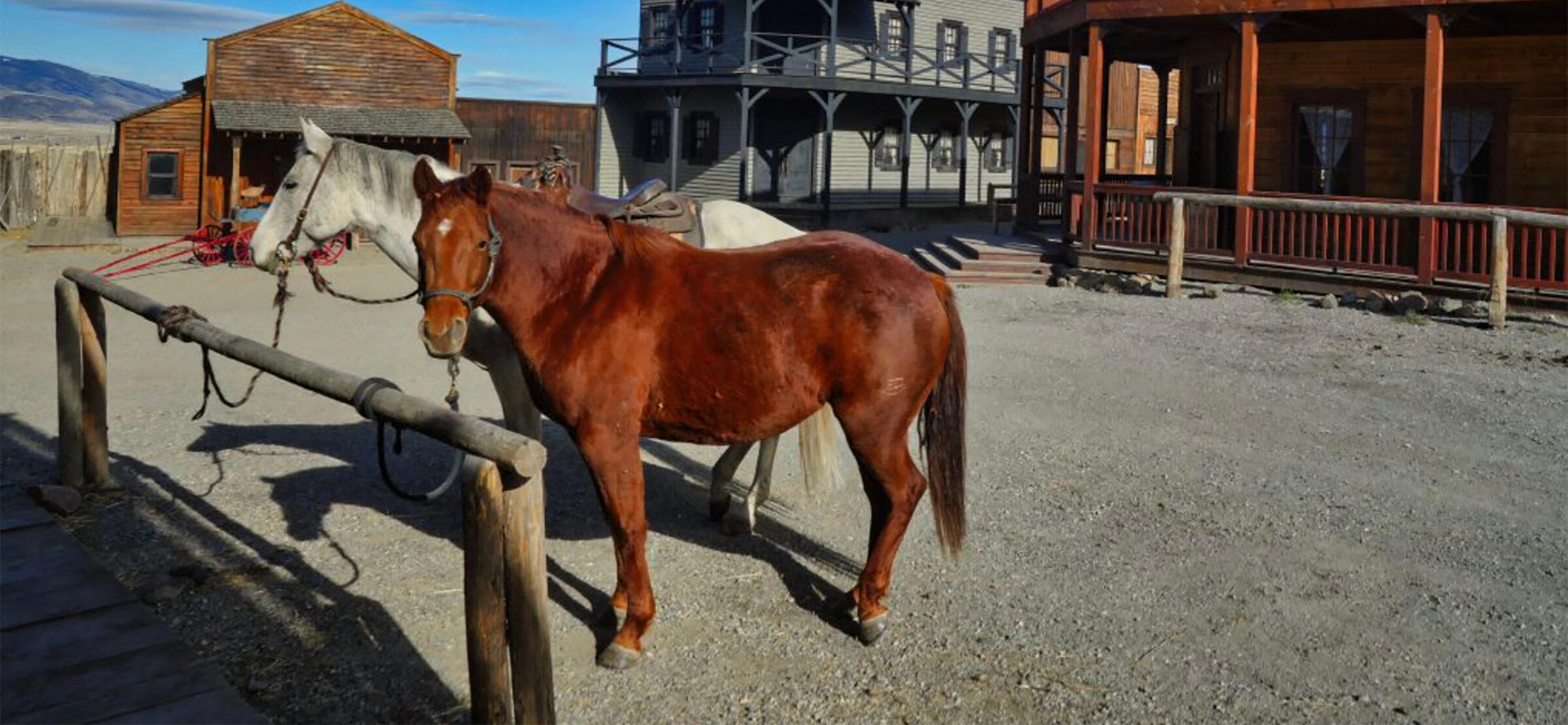 Alec Baldwin, 65, Struggles To Mount A Horse On ‘Rust’ Set