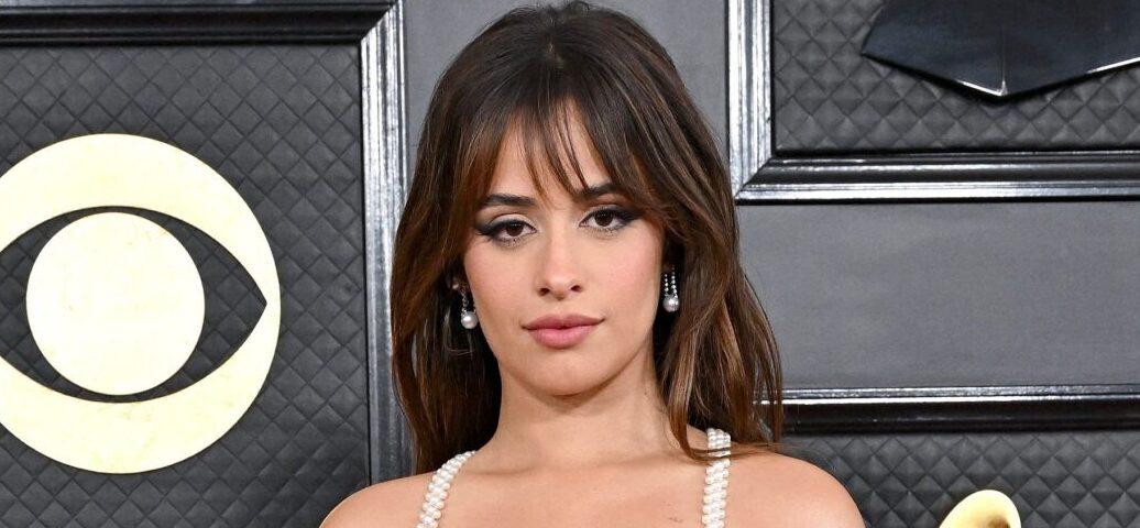 Camila Cabello Flaunts Fit Body In Cropped Sweater And Black Underwear