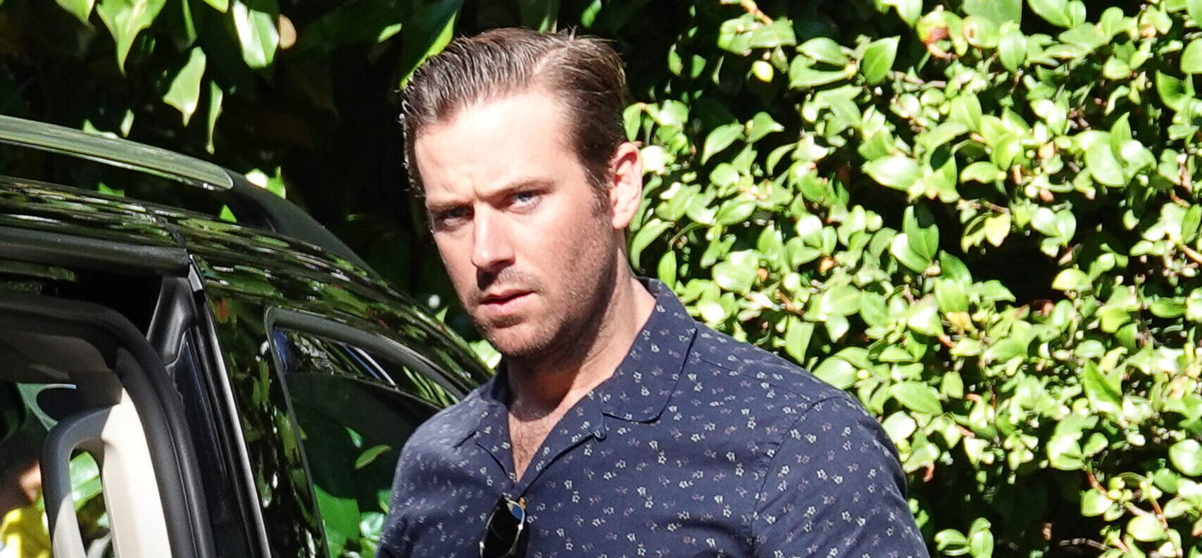 Armie Hammer Has Yet Another Assault Investigation To Worry About