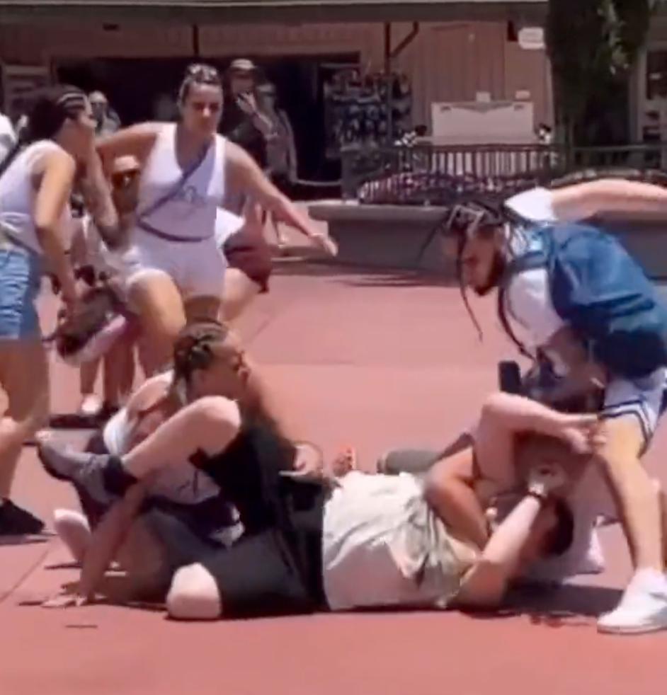 Brawl Breaks Out Between Guests At Walt Disney World