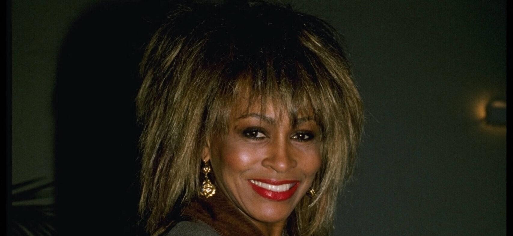 Tina Turner’s Son Ike Jr. Sentenced To Jail On Crack Possession Before Her Death